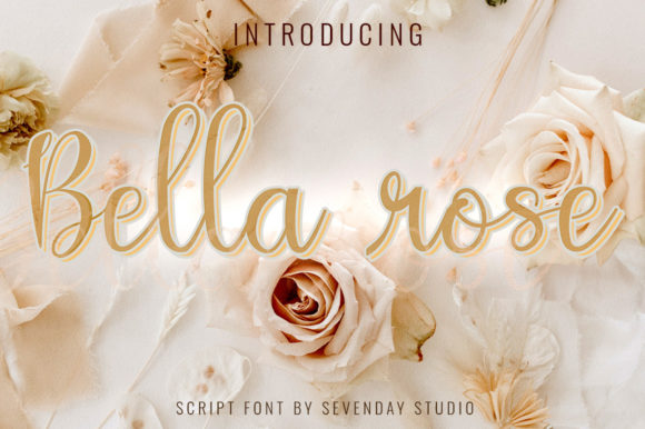 Bella Rose Script Font for Modern Branding