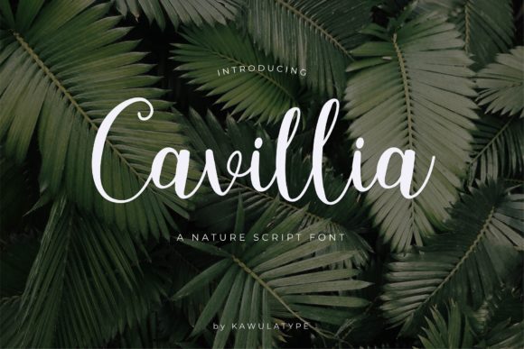 Cavillia: A Delicate Script Font for Modern Editorial Design