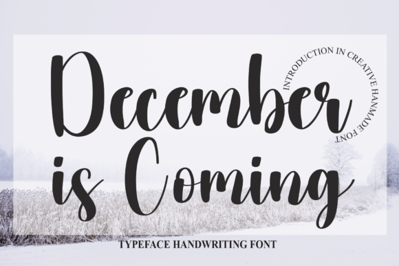 December is Coming: A Script Font for Elegant Branding