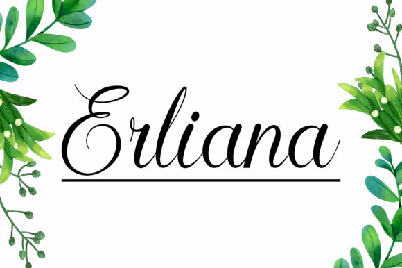 Erliana: A Playful Script Font for Modern Web Design