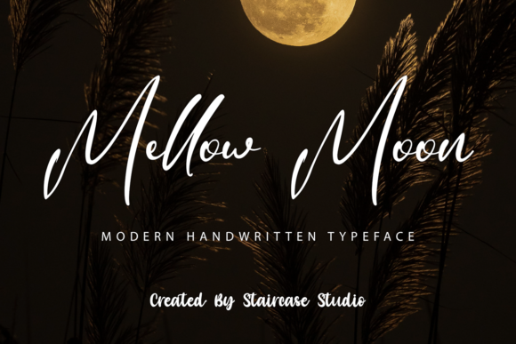 Mellow Moon: The Modern Script Font for Bold Branding