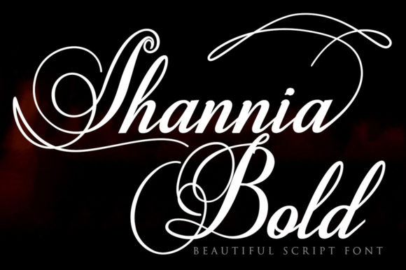 Shannia Bold Font for Modern Campaign Design