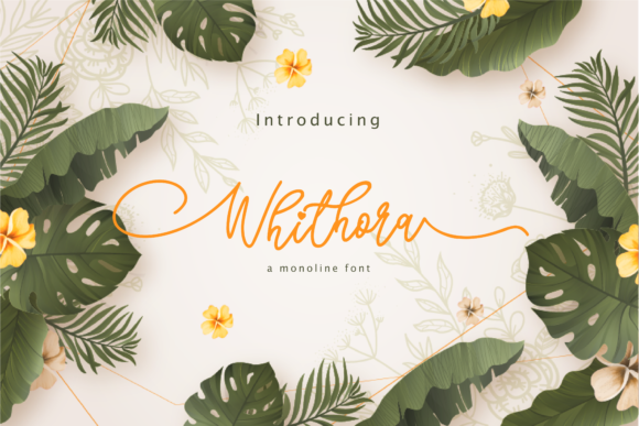 Whithora Font Review: Elegant Script for Designers